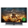 Philips Momentum 559M1RYV/00 4K HDR - 691742 - zdjęcie